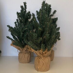 Set of Three Rustic Christmas Trees with Burlap Base